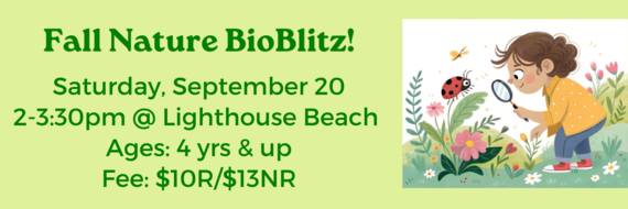 fall nature bio blitz