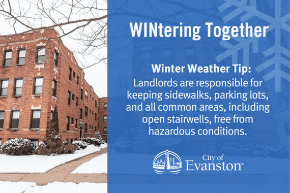 Wintering Together GIF