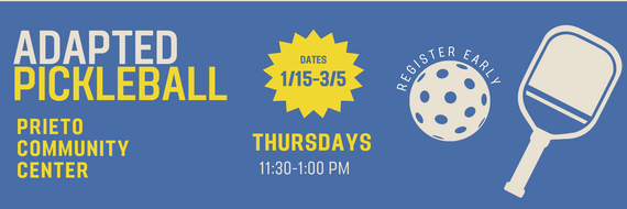 adapted pickleball rv