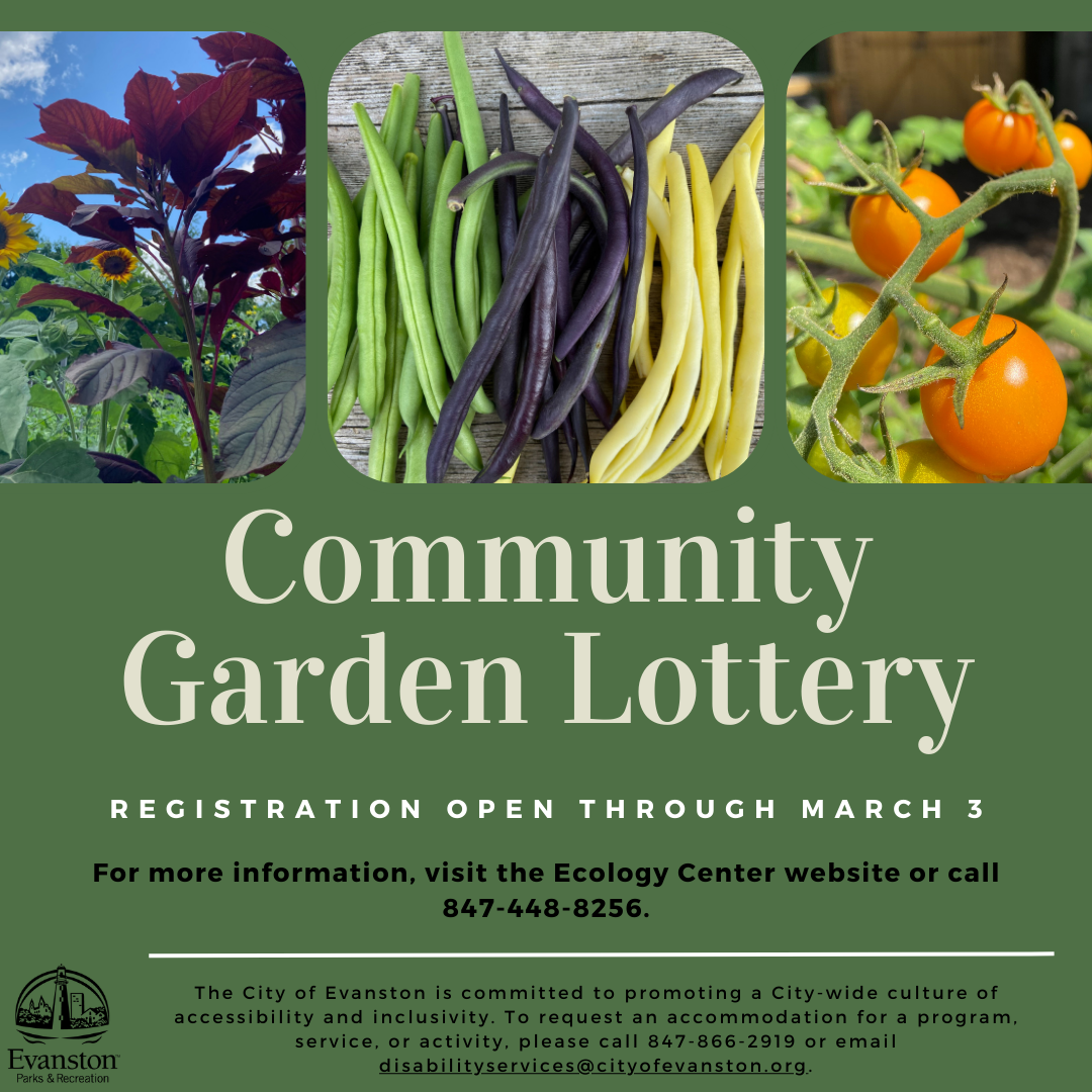 community garden lottery