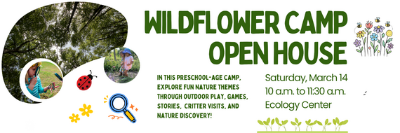 wildflower camp open house