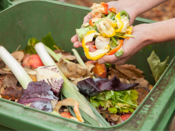 Food Waste