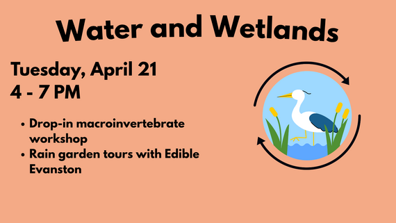 April 21 Water and Wetlands  activities flyer