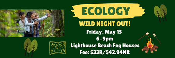 wild night out May 15