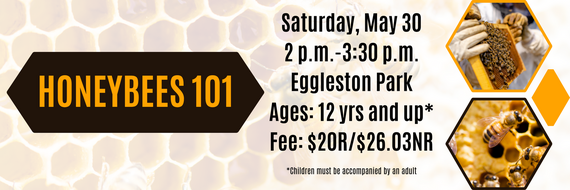 honeybees 101