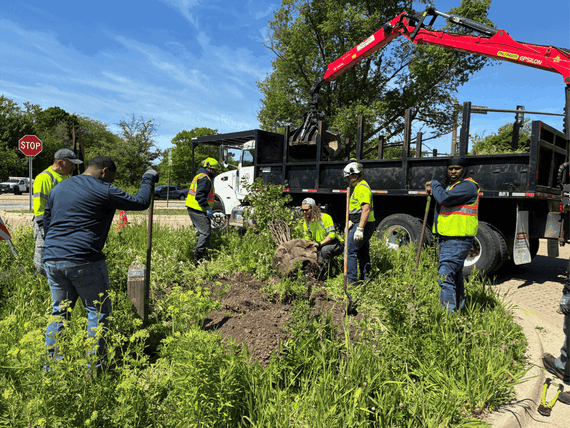 Tree Installation