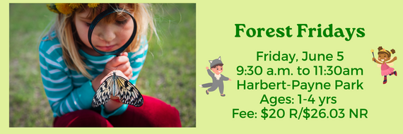 forest fridays