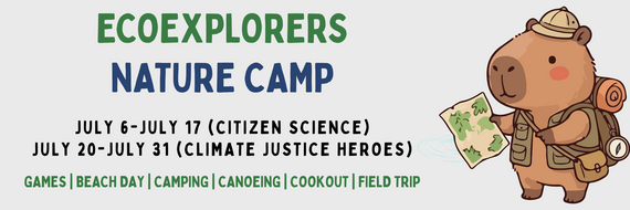 ecoexplorer camp