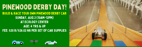 aug 2 pinewood derby
