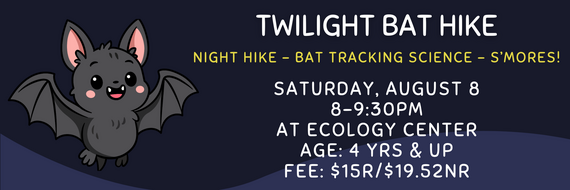 twilight bat hike