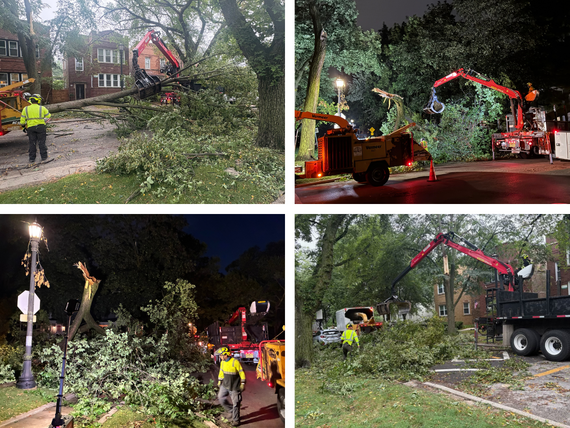 Storm Damage