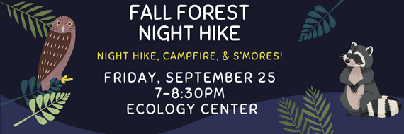 sept 25 fall forest hike