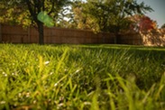 yard