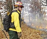 controlled burns
