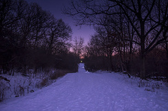 illuminated trails