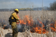 spring controlled burns