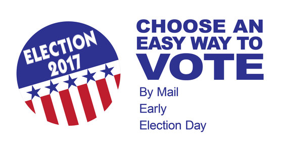 Election 2017 Voting Options
