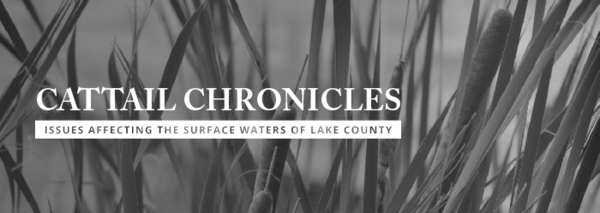 Cattail Chronicles: Issues Affecting the Surface Waters of Lake County