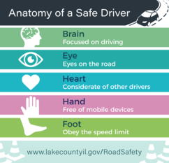 Anatomy of a safe driver