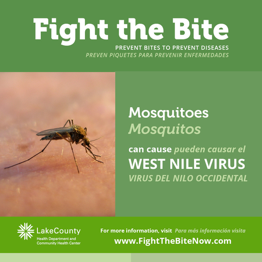 Fight-The-Bite-Mosquitoes