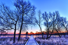 Winter 2018 Horizons