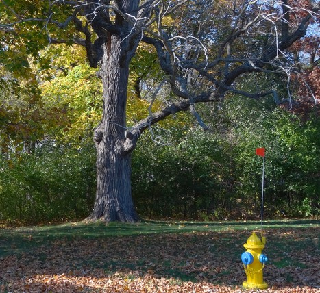 hydrant flushing