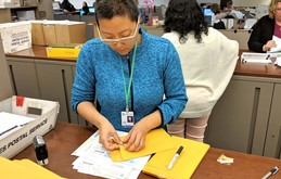 Holly preparing the Tax bills