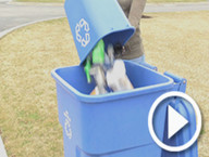 Recycling guidelines video