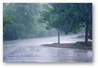 Rainfall effects