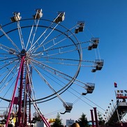 Summer 2019 festival season