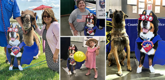 Lake County Fair Photos