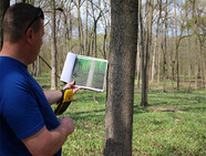 restoration ecologist