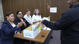Ballot Issue Judge in the voting site