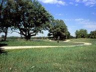 Leave No Trace When Using Forest Preserves 