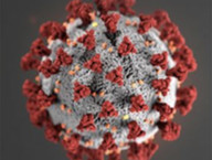 Closures and Cancellations Updates forest preserve