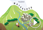 watershed video