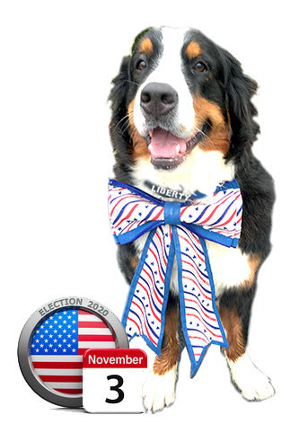 Liberty, the election watchdog