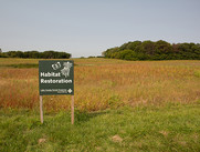 Creating Climate Resiliency 