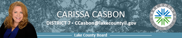 Carissa Casbon Banner Color 4