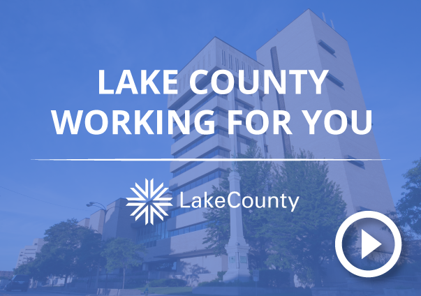 Lake County Working for You