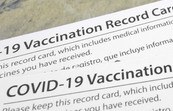 vax cards