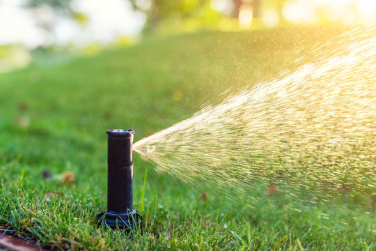 lawn sprinkler