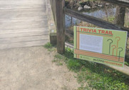Trivia Trail