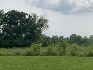 Altenberg introduction