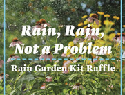 rain garden kit raffle