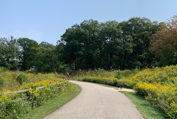 Vealitzek introduction