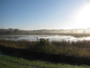 Walk with naturalist