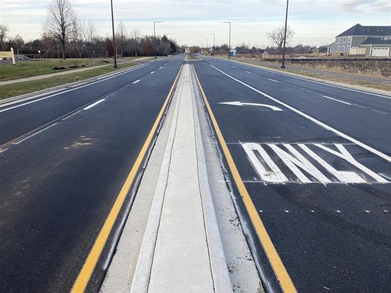 Buffalo Grove Painting