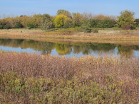 Buffalo Creek Forest Preserve