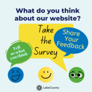 website survey